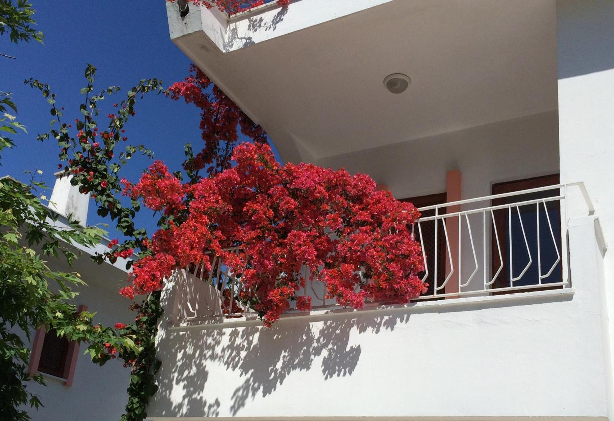 Flower Villa Apart Kemer Exterior photo